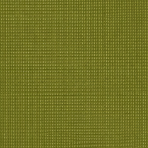FUN＋Moss