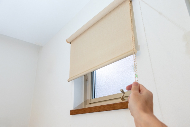 Kitchen roll screen