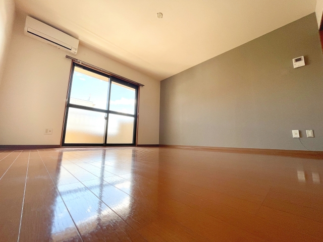 opening through which dirt is swept